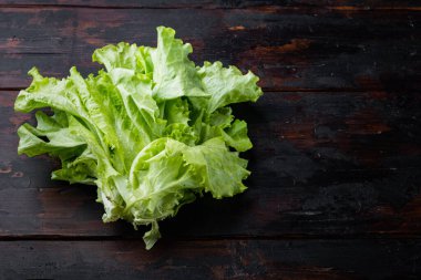 Koyu yeşil marul salatası organik yapraklar, ahşap arka planda.