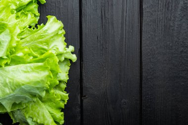Fesh yeşil salata organik yapraklar, siyah ahşap masa üzerinde metin için kopyalama alanı ile