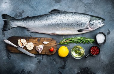 Gri arka planda tam çiğ somon, düz uzanmış..