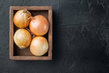 Taze soğan hasadı, siyah arkaplan, üst görünüm düz metin için kopyalama alanı ile yatıyordu