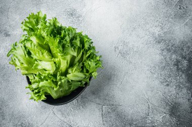 Taze organik yeşil batavya marulu yaprakları, gri zemin üzerinde, üst görünüm düz metin alanı için fotokopi alanı yatıyordu