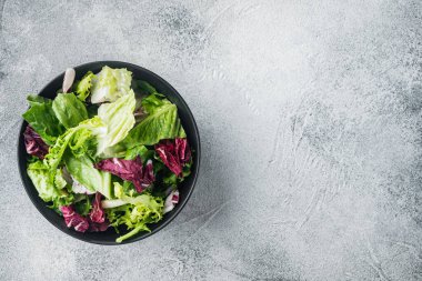 Farklı marul salatalarının taze yaprakları, gri arka planda, üst görünüm düz metin için metin alanı ile yatıyordu