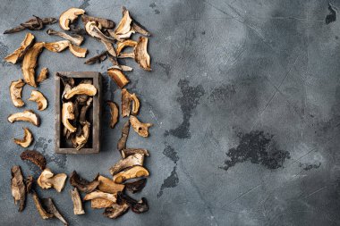 Kurumuş yaban mantarları seti, gri arkaplanda, üst görünüm düz yerde, metin kopyalanması için alanı var