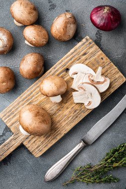 Çiğ mantar şampiyonları seti, gri arka planda, üst görünüm düz yatıyordu