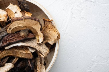 Beyaz arkaplanda, metin kopyalanması için alanı olan kurutulmuş yaban mantarları seti