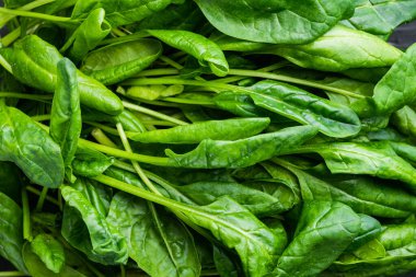 Taze ıspanak seti, siyah zemin üzerinde, üst görünüm düz yatıyordu