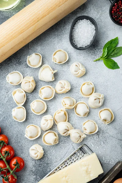 Tortellini Malzemeleri Seti Gri Arka Planda Üst Görünüm Düz Yatıyordu — Stok fotoğraf