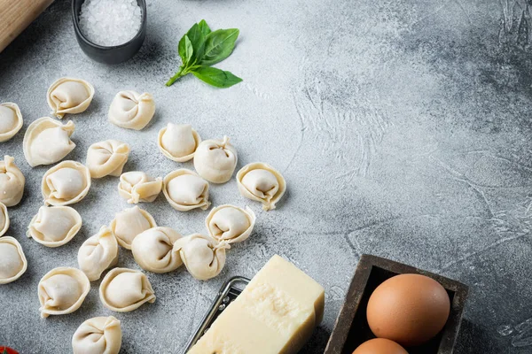 Tortellini Med Parmesan Och Basil Set Grå Bakgrund Med Copyspace — Stockfoto