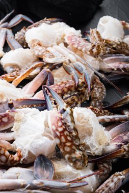 Taze çiğ çiçek yengeci ya da mavi yengeç parçaları seti, siyah arkaplanda.