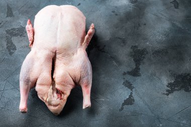 Gri arkaplanda tüm ördeği pişirmek için tarif, düzlük, metin için boşluk.