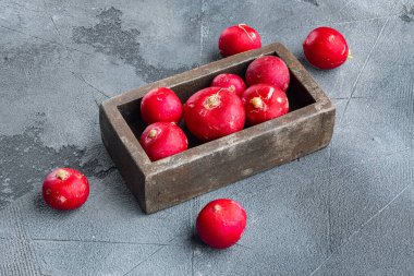 Yaz, kırmızı turp hasat etti. Gri arka planda, ahşap kutuda organik sebzeler yetişiyor.