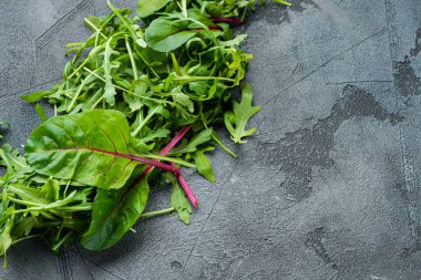 Salata yapraklarını karıştır, İsviçre pazısı ve Arugula seti, gri taş arka planda, metin için kopyalama alanı ile