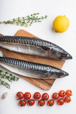 Beyaz desenli arka plan içerikli uskumru, üst görünüm.