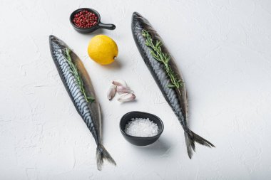 Beyaz desenli arka plan ve kopyalama alanı içerikli tüm uskumru balığı.