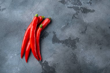 Gri arkaplanda ham kırmızı biber seti, metin için boşluk ile üst görünüm