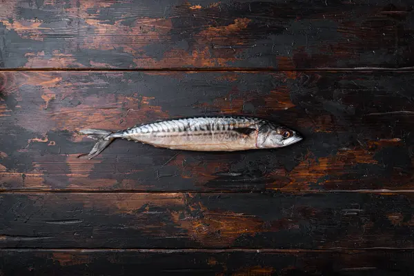Tahta masada taze çiğ uskumru, metin için yeri olan düz bir yer..
