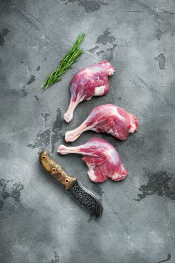 Çiftlik setinden yeni çıkmış organik çiğ ördek bacağı. Gri taştan arka planda. Üst manzara düz.