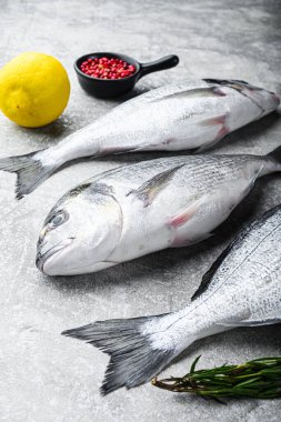 Çiğ dorado ya da ızgara için otlu deniz ürünleri ile deniz kabuğu balığı desenli gri arka plan görüntüsü