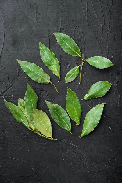 Fresh Bay Leaves Set Black Stone Background Top View Flat — Stock Photo, Image