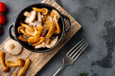 Terbiye edilmiş mantarlar seti, gri arkaplanda, üst görünüm düz yerde, metin kopyalama alanı için alanı var