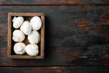 Mantar şampiyonu seti, eski siyah ahşap masa üzerinde, üst görünüm düz yatay, metin için kopyalama alanı ile