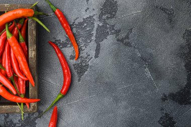 Taze mahmuz biber seti, gri taş zemin üzerinde, üst görünüm düz, metin için kopyalama alanı ile