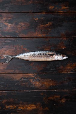 Tahta masada taze çiğ uskumru, metin için yeri olan düz bir yer..