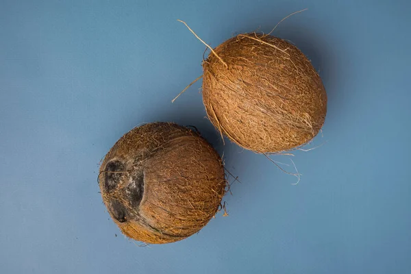 Tropisch Fruit Kokosnoot Hele Set Blauwe Getextureerde Zomerachtergrond Bovenaanzicht Vlak — Stockfoto