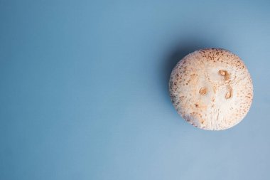 Tropikal meyve hindistan cevizi seti, mavi desenli yaz arkaplanı, üst görünüm düz, metin için kopya alanı ile