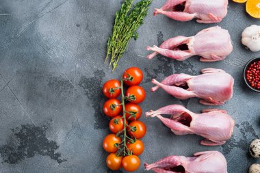 Bitkili taze çiğ bıldırcın, düz bir zemin üzerinde, metin için yeri olan gri arkaplan.