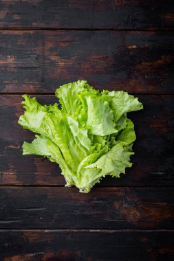 Çiğ organik yeşil, meşe marulu, koyu ahşap arka planda.