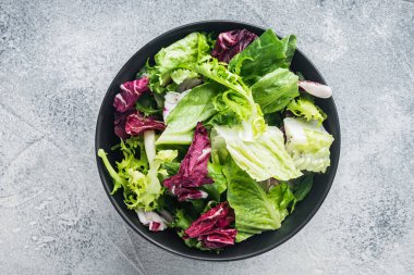 Frieze, romaine ve Radicchio marul salatası, gri arka planda, üst manzara düz.