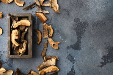 Kurumuş mantarlar seti, gri arkaplanda, üst görünüm düz yerde, metin kopyalama alanı için alanı var