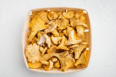 Cantharellus cibarius, chanterelle mantarları seti, tahta kutuda, beyaz taş masa zemininde, düz manzaralı