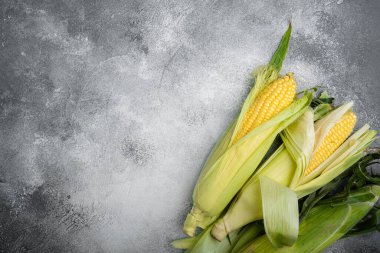 Taze ham nasırlar seti, gri taş masa arkaplanı, üst görünüm düz yatay, metin için kopyalama alanı