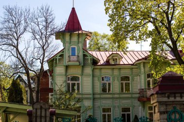 Tallinn 'deki güzel baltık ahşap ev, güneşli gün, etraftaki ağaçlar