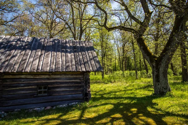 Ancienne maison baltique traditionnelle en bois dans des bois verts magiques — Photo