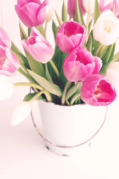 Tulipanes de primavera en cubo — Foto de Stock