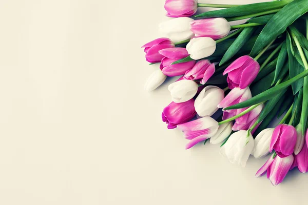 Tulipanes fondo de pantalla fotos de stock, imágenes de Tulipanes fondo de  pantalla sin royalties | Depositphotos