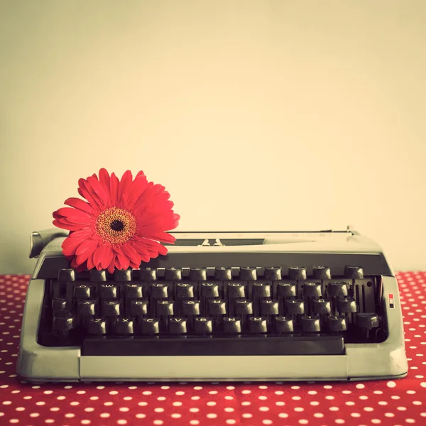 Máquina de escribir y flor roja — Foto de Stock