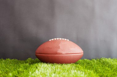 Yeşil çimenlerin üzerinde futbol 