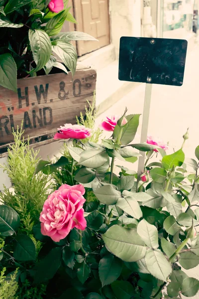 Vintage róże w Paryżu — Zdjęcie stockowe