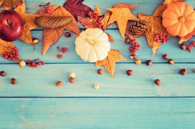 Kabak ve elma sonbahar üzerinde yapraklar