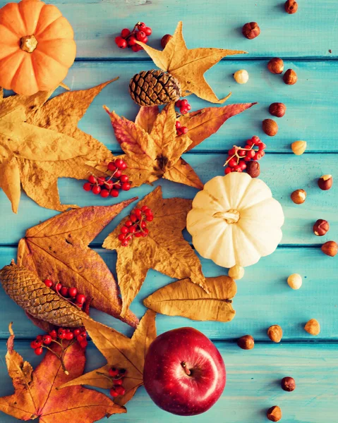 Calabazas y manzana sobre hojas de otoño —  Fotos de Stock