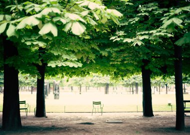 Tuileries Garden sandalye