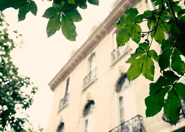 Vintage French building — Stock Photo, Image