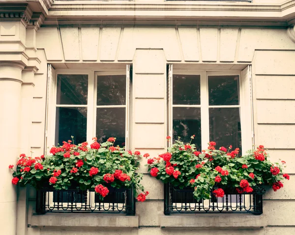 Blumen auf einem Balkon — Stockfoto