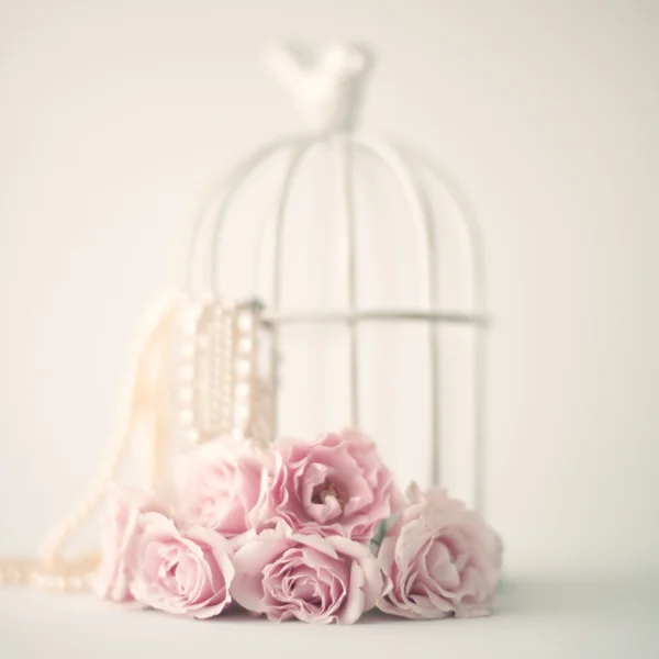 Roses roses et cage à oiseaux — Photo