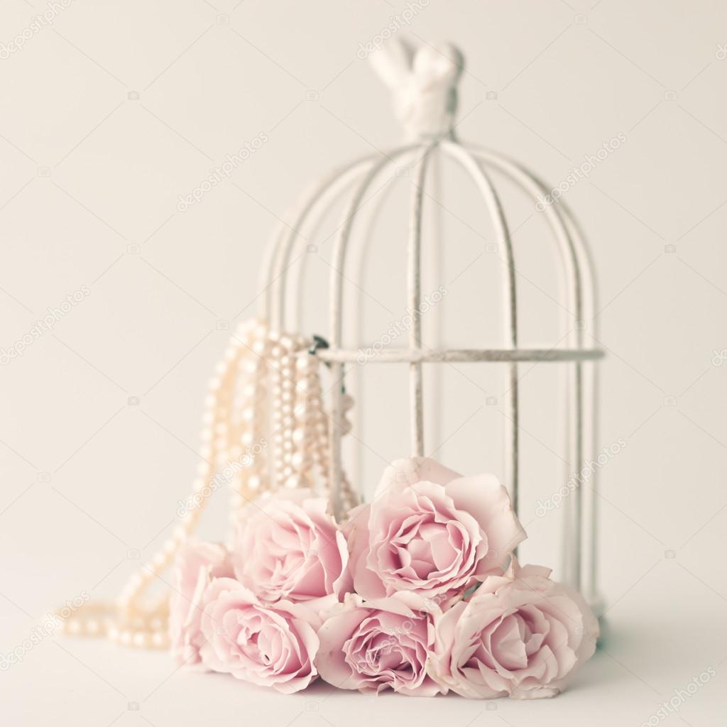 Pink roses and birdcage