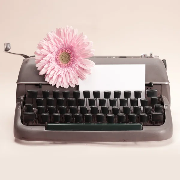 Schrijfmachine en bloem op tafel — Stockfoto